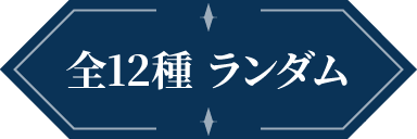 全12種ランダム