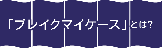 「ブレイクマイケース」とは？