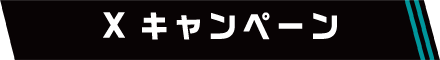 Xキャンペーン