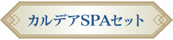 カルデアSPAセット
