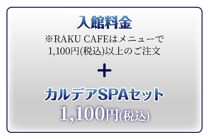 入館料金+カルデアSPAセット