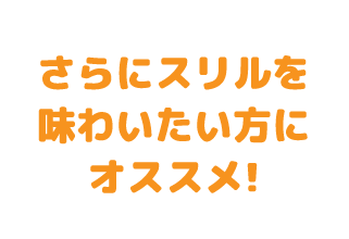 さらにスリルを味わいたい方にオススメ!