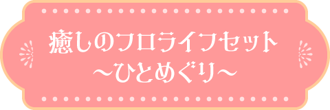 癒しのフロライフセット〜ひとめぐり〜