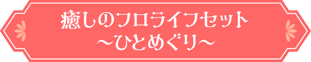 癒しのフロライフセット〜ひとめぐり〜