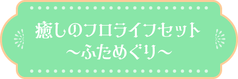 癒しのフロライフセット〜ふためぐり〜