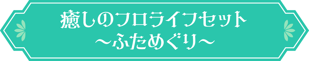 癒しのフロライフセット〜ふためぐり〜