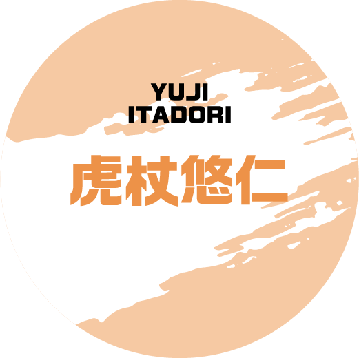 虎杖悠仁 YUJI ITADORI