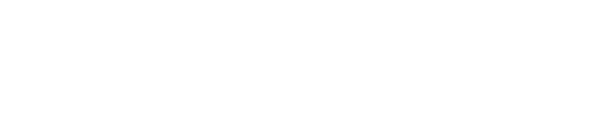 パラライプラスセット