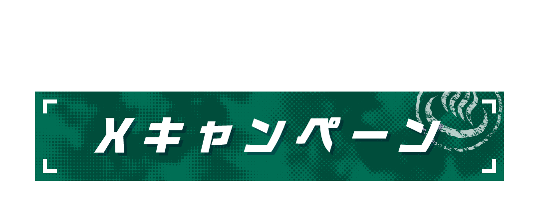 Xキャンペーン