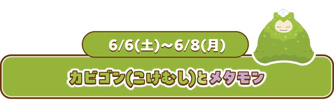 6/6(土)~6/8(月)カビゴン(こけむし)とメタモン