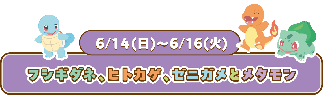 6/14(日)~6/16(火) フシギダネ、ヒトカゲ、ゼニガメとメタモン