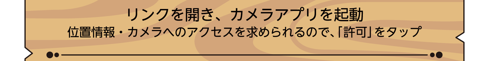 リンクを開き、カメラアプリを起動