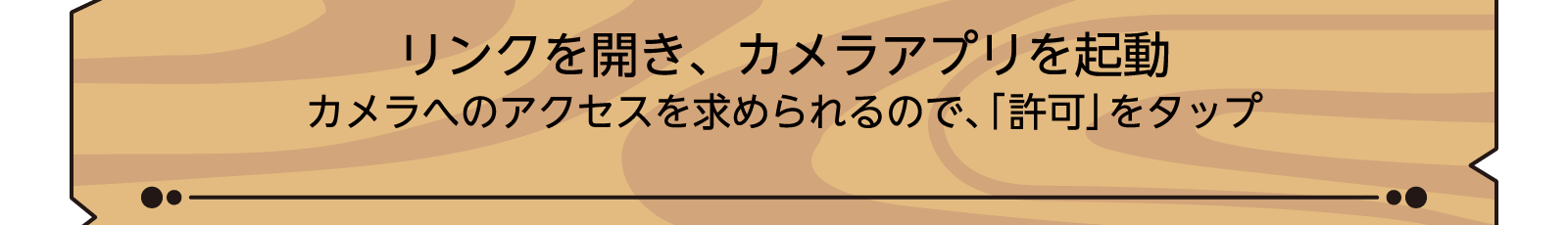 リンクを開き、カメラアプリを起動